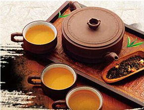 今朝茶業締造中國茶業新傳奇