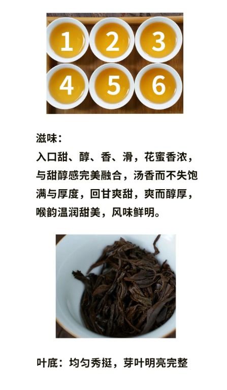 一球茶業2023真紅