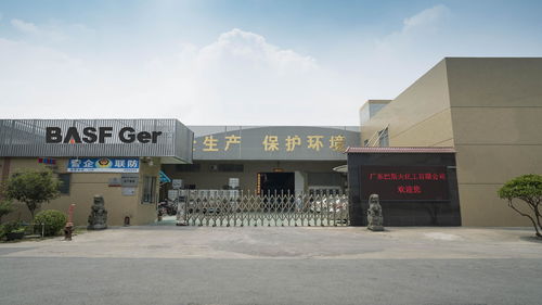 德國 巴斯夫漆中國 巴斯夫廣州,上海廠家介紹