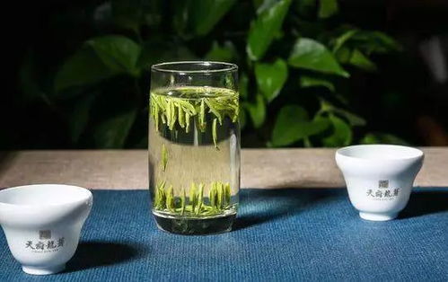 天府龍芽 攜四川主產(chǎn)茶區(qū) 三山一早 公共品牌登陸紐約時報廣場