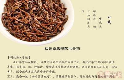【百茶人生正山小種紅茶特級(jí)武夷山桐木關(guān)高檔散裝茶葉廠家批發(fā)】佛山市南海康納茶廠 - 產(chǎn)品庫