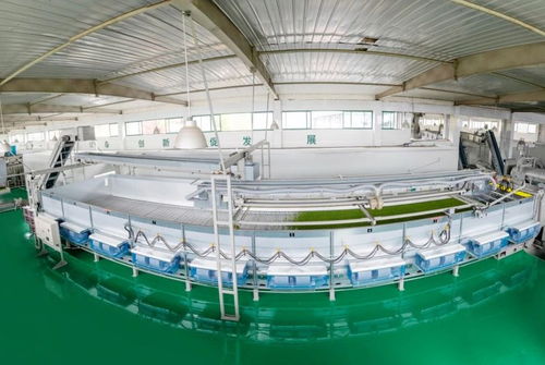 山南茶區，珍品輩出 宜昌茶產業介紹