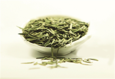 四川宜賓高縣 立足生態優勢，做強茶產業，譜寫鄉村振興新篇章